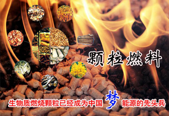 生物質(zhì)燃料顆粒多少錢一噸！