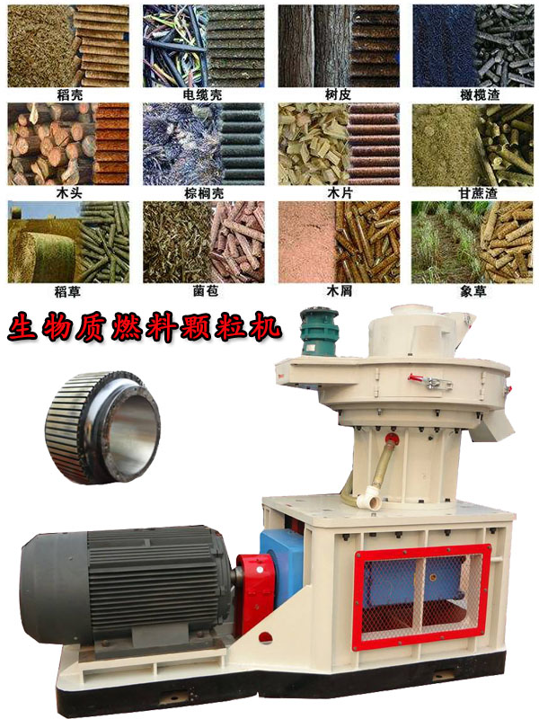國(guó)內(nèi)外生物質(zhì)燃料顆粒機(jī)應(yīng)用現(xiàn)狀的疑問(wèn)！