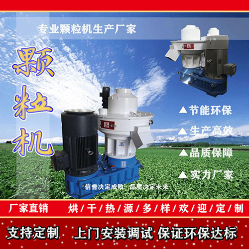 稻殼顆粒機(jī) 稻殼顆粒機(jī)